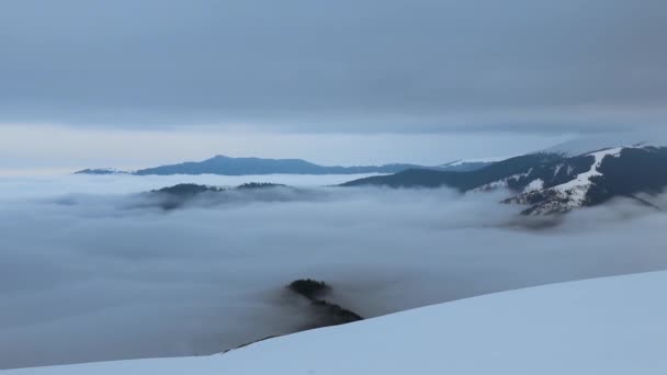 Paisagem Montanhas Incríveis Com Nevoeiro Neve Alta Altitude Durante Inverno — Vídeo de Stock