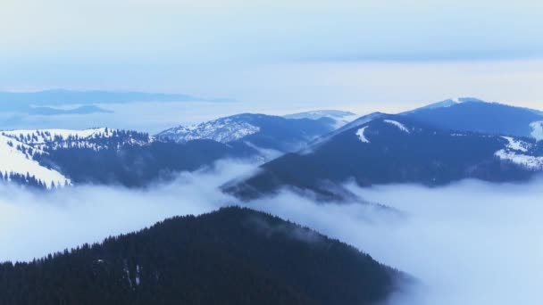 Потрясающее Время Горах Туманом Лесу Зимой — стоковое видео