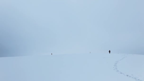 冬の標高の高い山の中を歩くハイカーと犬 — ストック動画