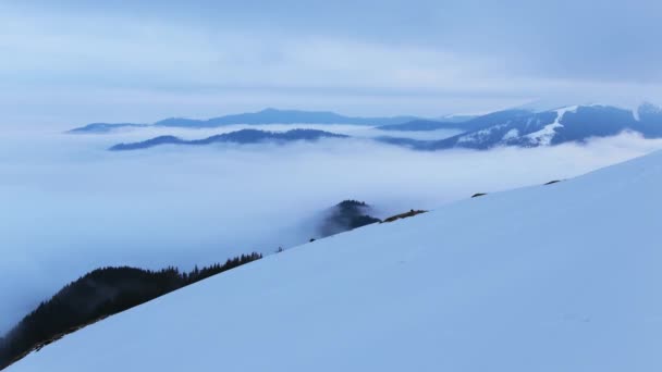 Ohromující Časová Prodleva Horách Mlhou Lese Během Zimy — Stock video