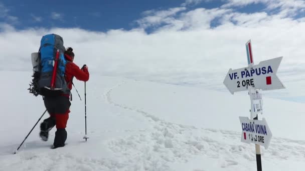 冬は高い山の中で雪の上を歩くハイカー — ストック動画