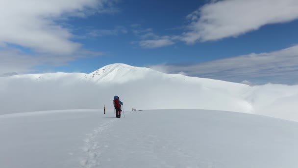 Vandrare Vandrar Snö Höga Bergen Vintern — Stockvideo