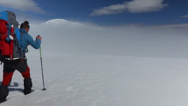 Escursioni Sulla Neve Alta Montagna Con Cane Durante Inverno — Video Stock