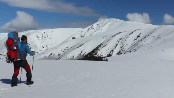 Escursioni Sulla Neve Alta Montagna Durante Inverno — Video Stock