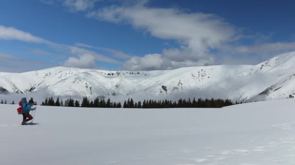 Vandrare Vandrar Snö Höga Bergen Vintern — Stockvideo