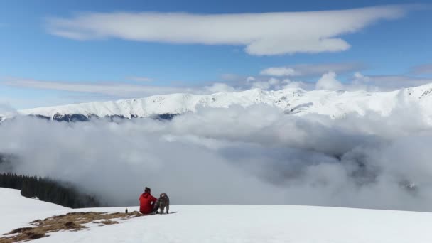 Caminhante Cães Desfrutando Paisagem Montanha Alta Altitude Durante Inverno — Vídeo de Stock