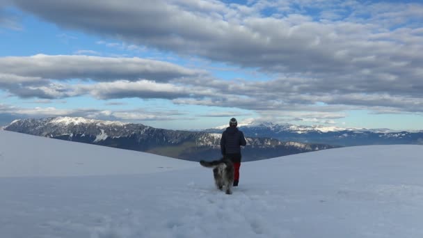 Yürüyüşçü Köpekler Kış Boyunca Yüksek Irtifadan Dağ Manzarasının Tadını Çıkarıyorlar — Stok video