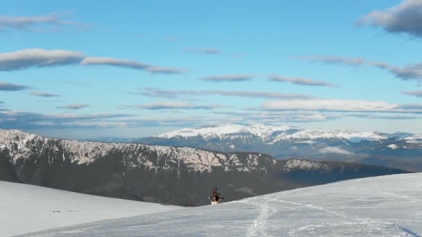 Escursionista Cani Piedi Montagna Inverno — Video Stock