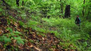 Yürüyüşçü bahar mevsiminde ormanda yürür.