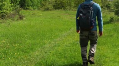 Bir adam bahar mevsiminde çayırda yeşil çimlerle ve çiçeklerle yürür.