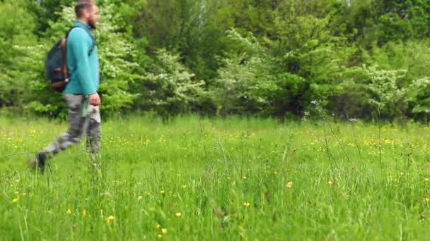 Een Man Loopt Weide Met Groen Gras Bloemen Het Voorjaar — Stockvideo