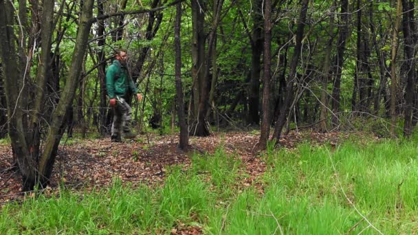 Caminatas Por Bosque Durante Temporada Primavera — Vídeos de Stock