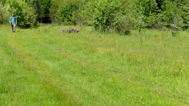 Een Man Loopt Weide Met Groen Gras Bloemen Het Voorjaar — Stockvideo