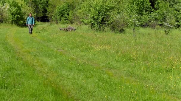 Hombre Camina Prado Con Hierba Verde Flores Temporada Primavera — Vídeos de Stock