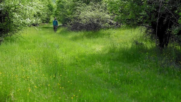 Hombre Camina Prado Con Hierba Verde Flores Temporada Primavera — Vídeos de Stock