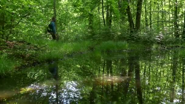 Ένας Άντρας Περπατάει Στο Καταπράσινο Δάσος Κοντά Στη Λίμνη Την — Αρχείο Βίντεο