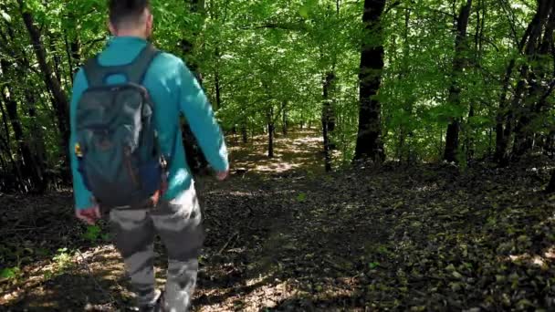 徒步旅行者在森林里散步 — 图库视频影像