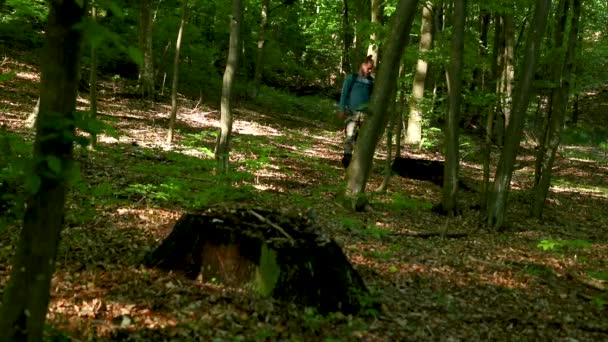 Caminatas Por Bosque Durante Temporada Primavera — Vídeos de Stock