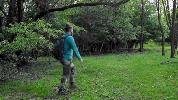 Ein Mann Geht Auf Der Wiese Mit Grünem Gras Und — Stockvideo