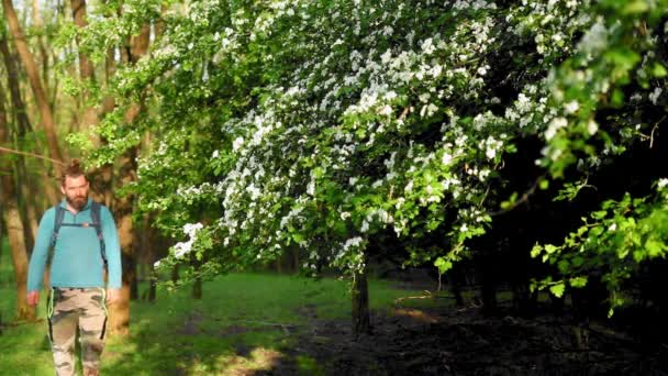 Ein Mann Geht Auf Dem Hügel Mit Bäumen Blumen Frühling — Stockvideo