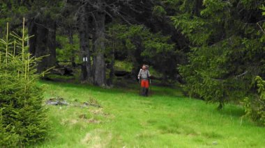 A hiker with a backpack walking through the mountain forest during spring
