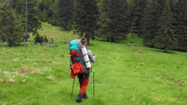 A hiker with a backpack walking through the mountain glade in spring