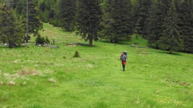 A hiker with a backpack walking through the mountain glade in spring