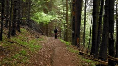 A hiker with a backpack walking through the mountain forest during spring