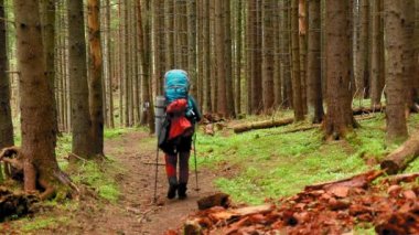 A hiker with a backpack walking through the mountain forest during spring