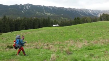 A hiker with a backpack walking through the mountain glade in spring