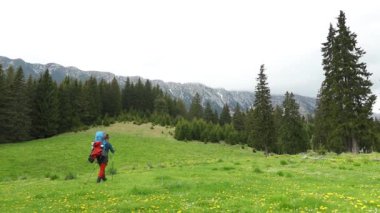 A hiker with a backpack walking through the mountain glade in spring