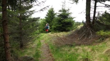 A hiker with a backpack walking through the mountain forest during spring