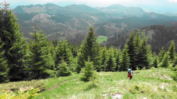 Hiker Backpack Walking Mountain Glade Spring — Stock video
