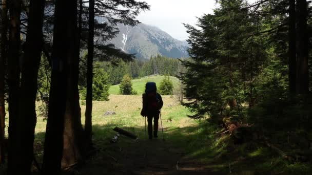 Турист Рюкзаком Гуляющий Горному Лесу Весной — стоковое видео