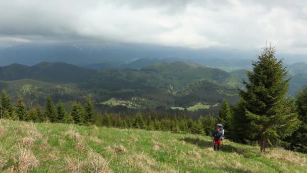 Ein Wanderer Mit Rucksack Wandert Frühling Durch Die Lichtung — Stockvideo