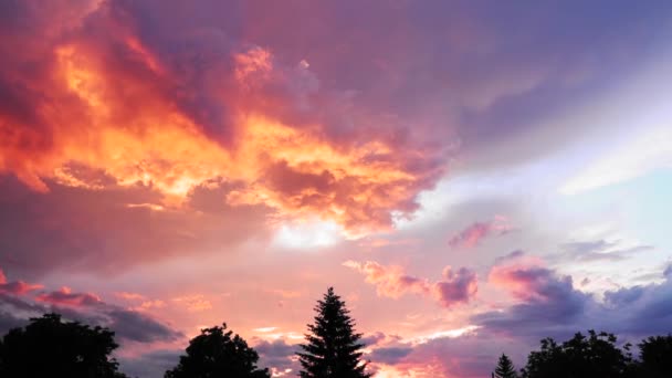 Mooie Zonsondergang Met Gekleurde Wolken Bomen Achtergrond — Stockvideo