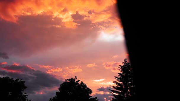Schöner Sonnenuntergang Mit Farbigen Wolken Und Bäumen Hintergrund — Stockvideo