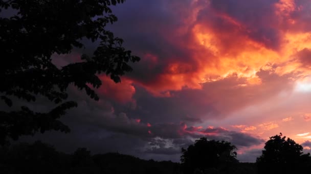 Beautiful Sunset Colored Clouds Trees Background — Stock Video