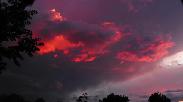 Όμορφο Ηλιοβασίλεμα Χρωματιστά Σύννεφα Και Δέντρα Στο Παρασκήνιο — Αρχείο Βίντεο