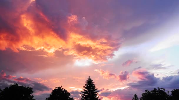 Beautiful Sunset Colored Clouds Trees Background — Stock Video