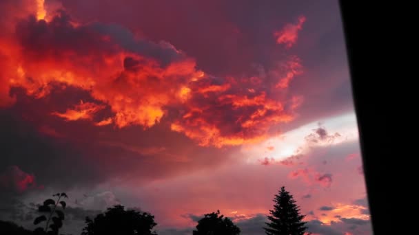 Beautiful Sunset Colored Clouds Trees Background — Stock Video