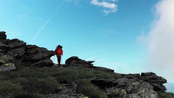 Caminante Caminando Solo Montaña Verano Gran Altitud — Vídeo de stock