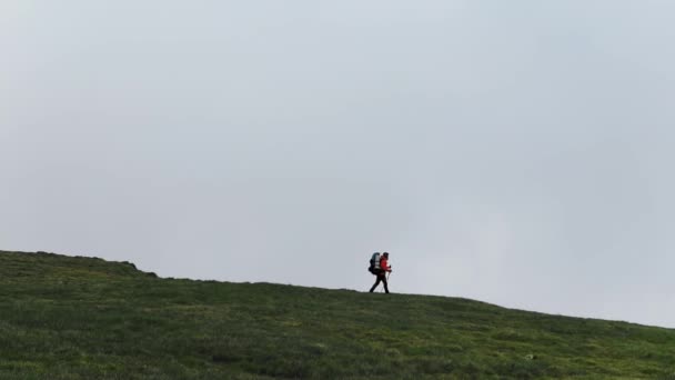 標高の高い夏の山の上を一人で歩くハイカー — ストック動画