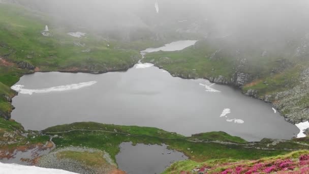 Удивительное Озеро Цветами Рододендрона Горах — стоковое видео