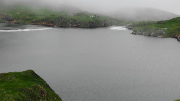 Toller Gletschersee Mit Rhododendronblumen Berg — Stockvideo