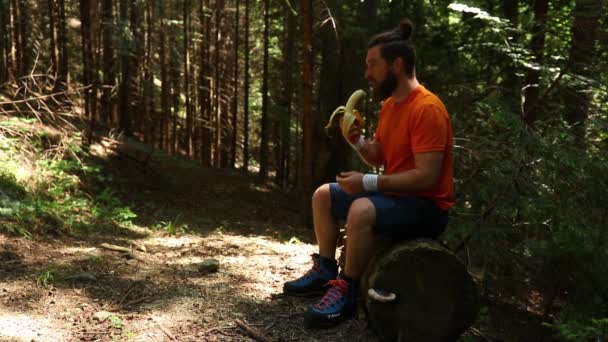 Eenzame Wandelaar Rust Eten Het Bos Zomer — Stockvideo