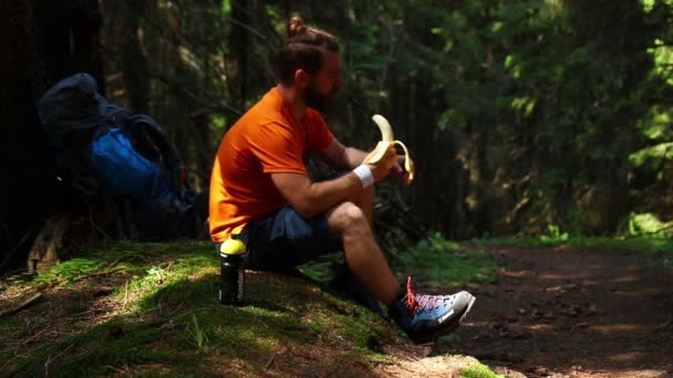 Caminhante Solitário Descansando Comendo Floresta Verão — Vídeo de Stock