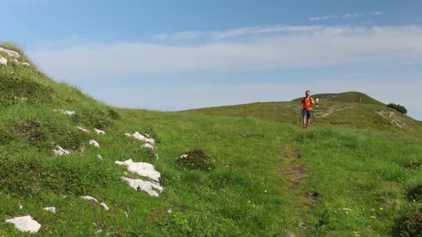 Escursionista Solitario Con Uno Zaino Che Cammina Montagna Estate — Video Stock