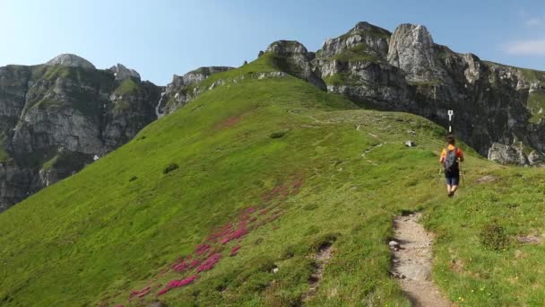 Alone Escursionista Con Uno Zaino Piedi Sulla Montagna Rocciosa Estate — Video Stock