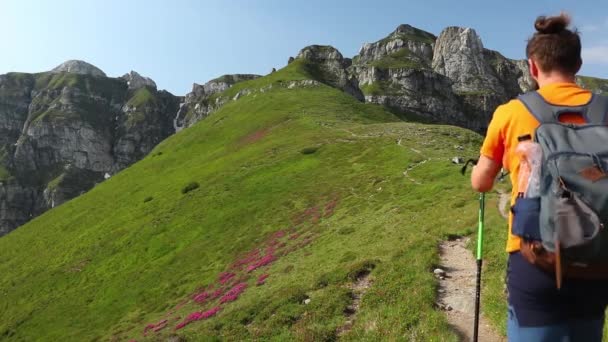 Alleen Wandelaar Met Een Rugzak Wandelen Rotsachtige Berg Zomer — Stockvideo